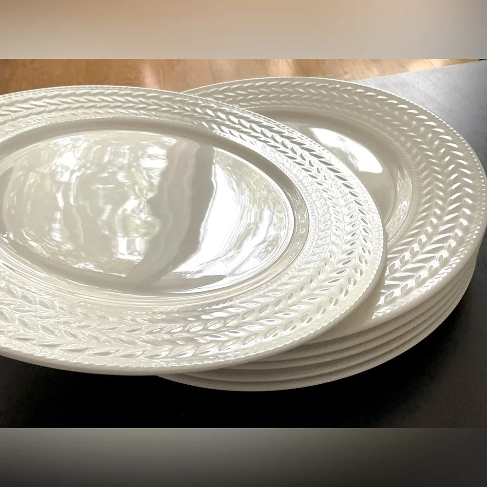 New Nelli Mikasa Dinner Plates 11